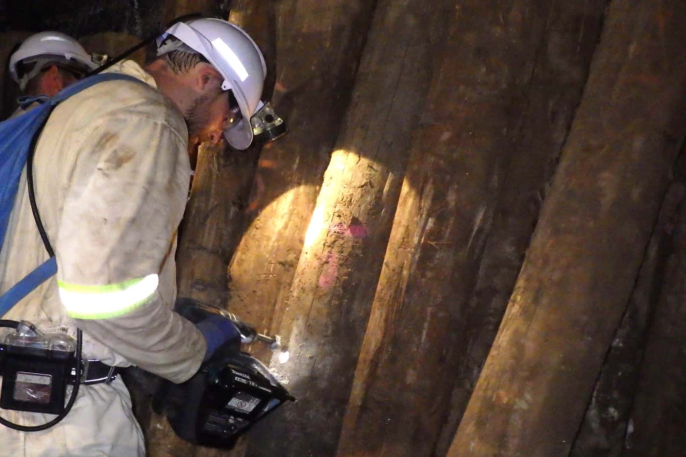 FABIans search for <i>Sporothrix</i> species associated with local mining operations