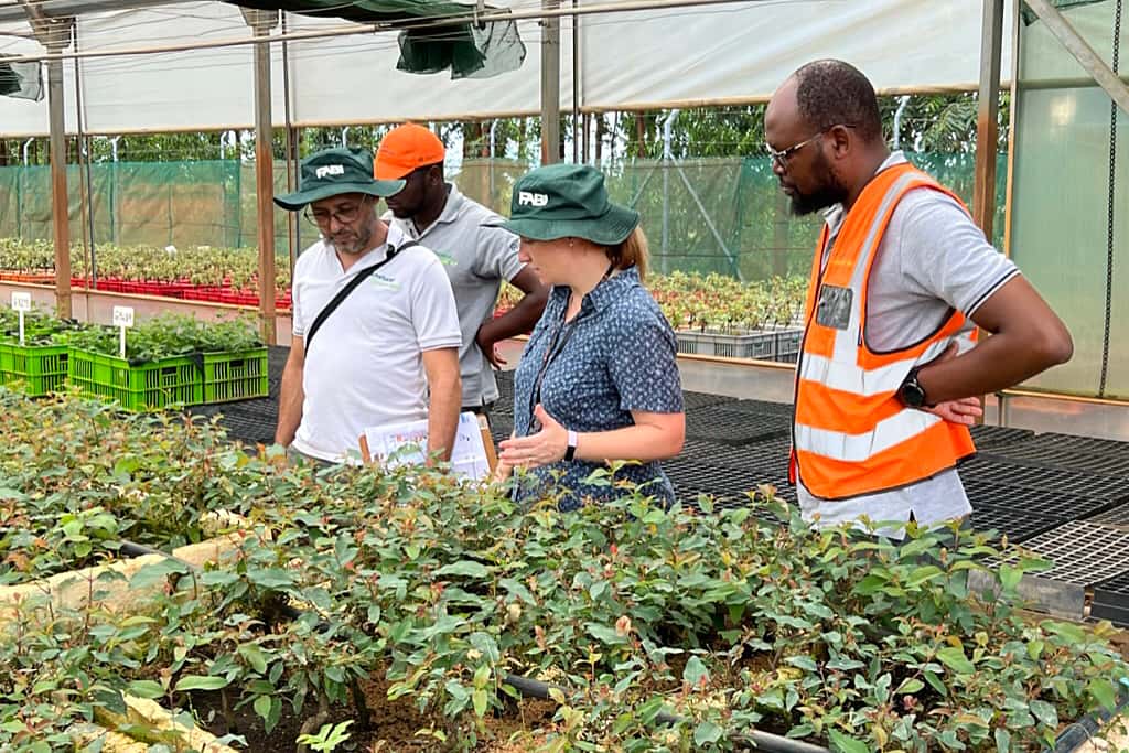 FABI researchers engage with Portucel Mozambique on a tree health program