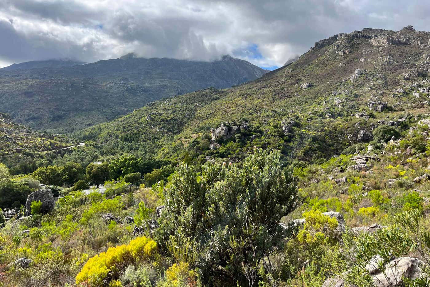 SASSY project completes its second collection trip in the Cape Town region