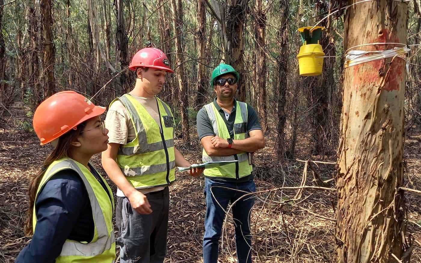 FABI welcomes RGE visitors as part of joint tree health programme