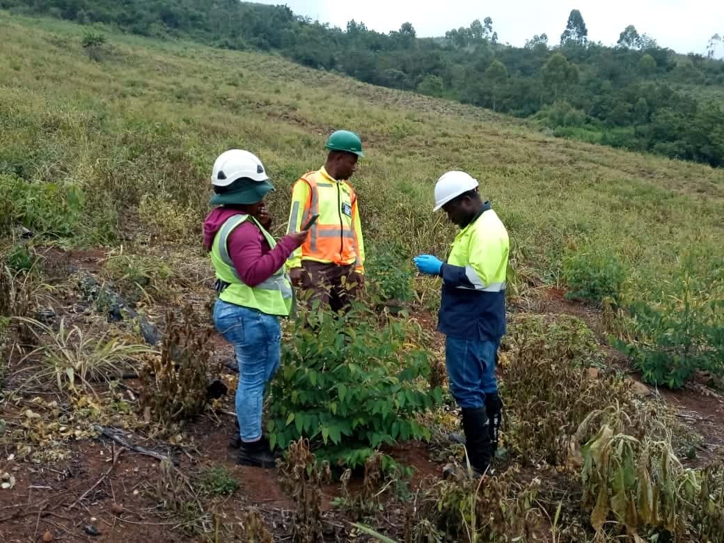 First steps to implement a National Forest Pest and Pathogen Surveillance strategy