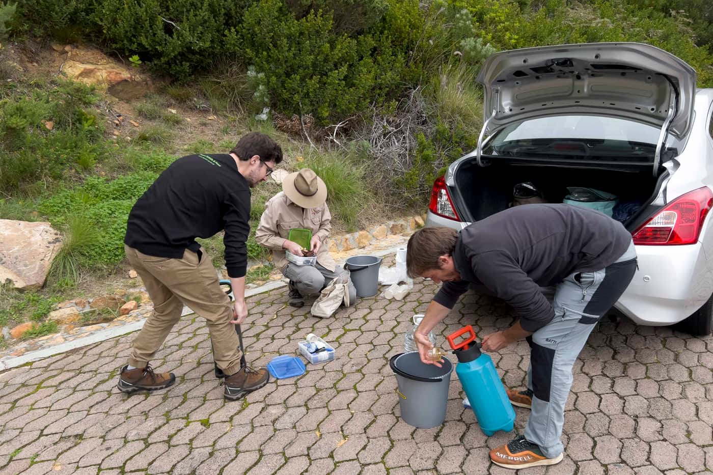 FABI sampling for <i>Phytophthora</i> in Cape riverine ecosystems