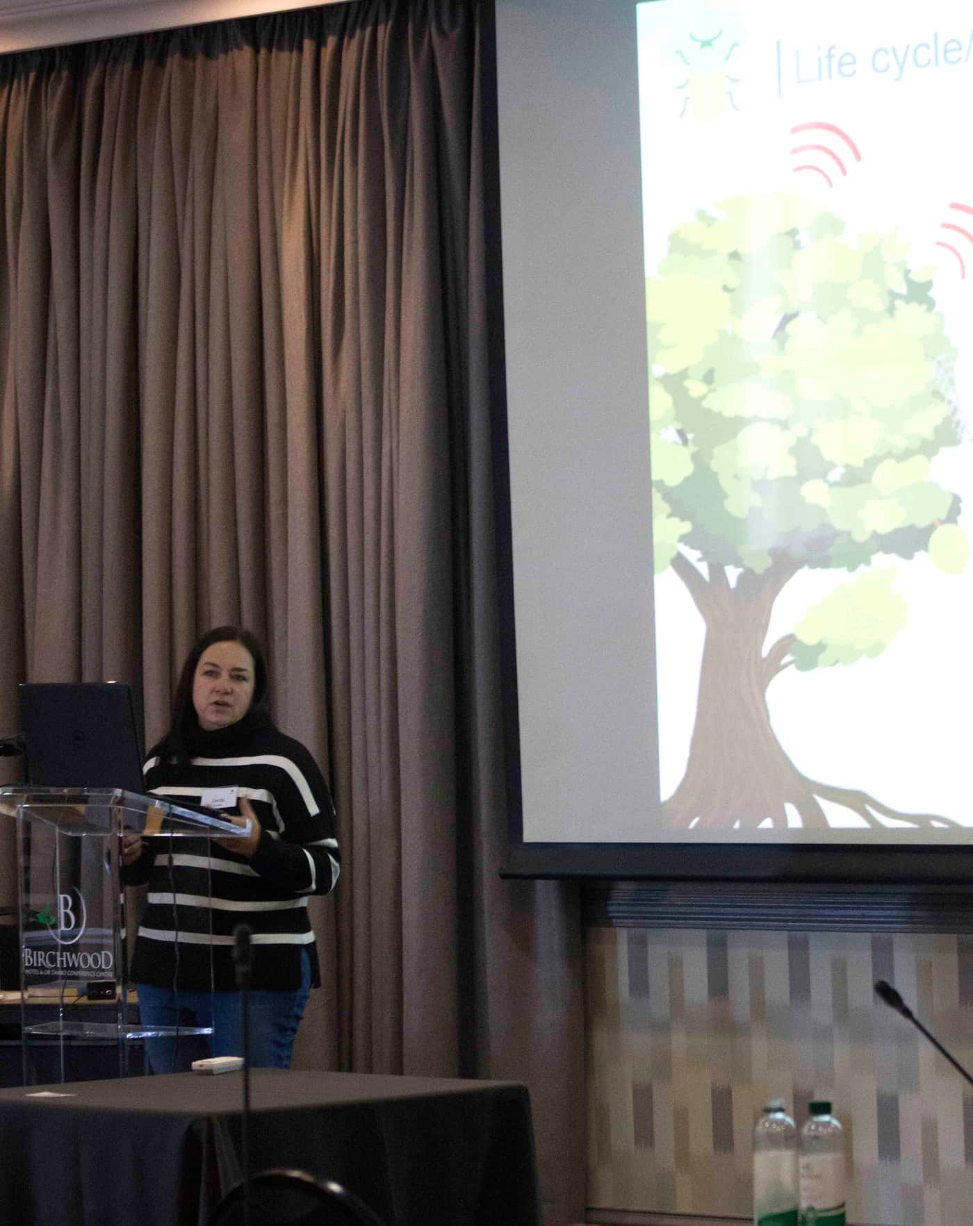 The Macadamia team presents at the SAMAC Research Networking Day