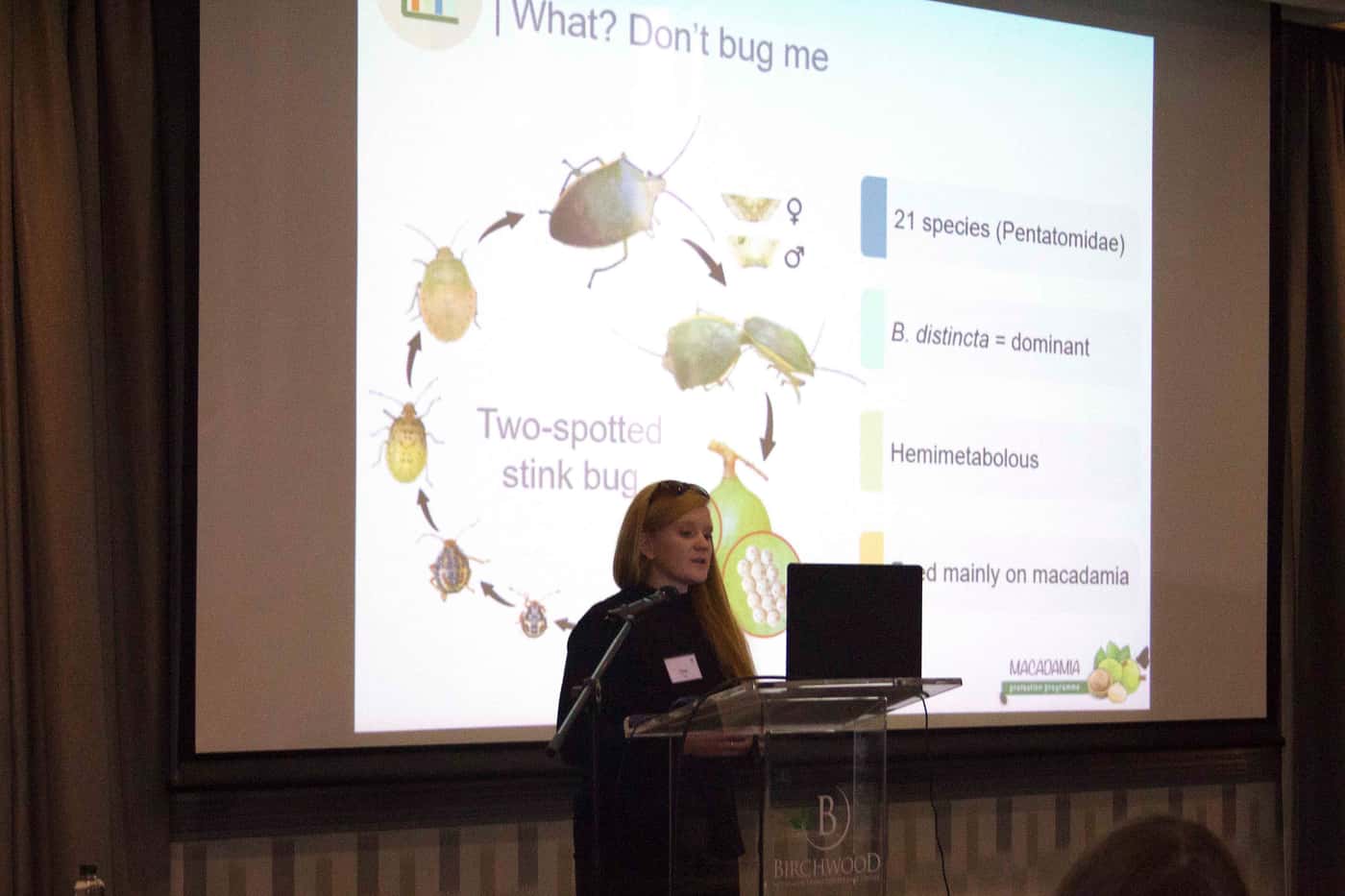The Macadamia team presents at the SAMAC Research Networking Day
