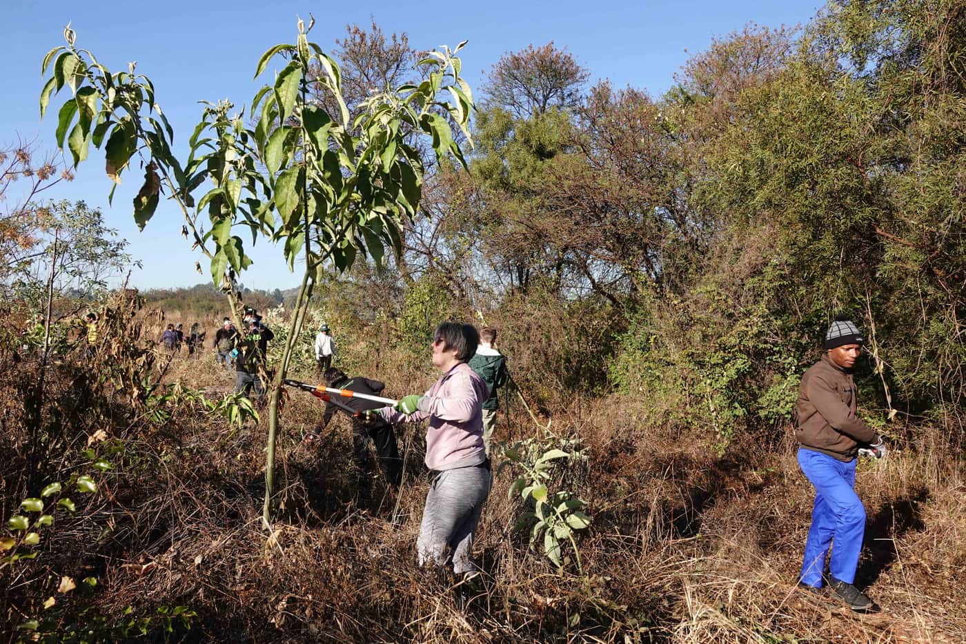 FABI celebrates Mandela Day with 67 minutes of community service to conserve biodiversity
