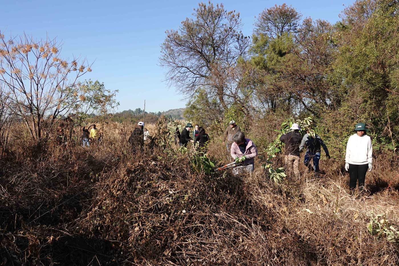 FABI celebrates Mandela Day with 67 minutes of community service to conserve biodiversity