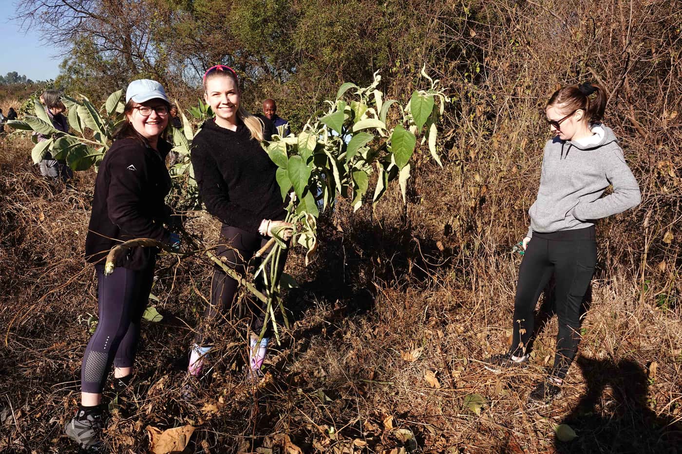 FABI celebrates Mandela Day with 67 minutes of community service to conserve biodiversity