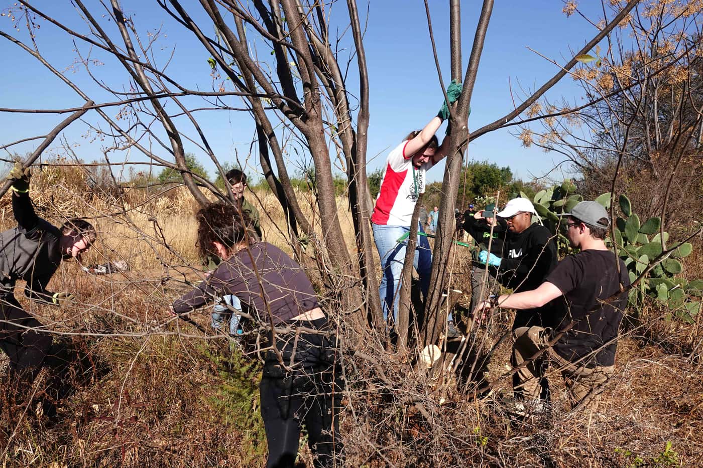 FABI celebrates Mandela Day with 67 minutes of community service to conserve biodiversity
