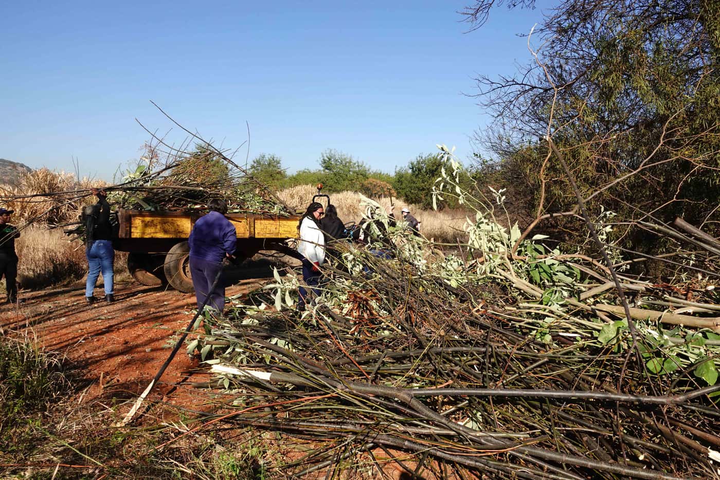 FABI celebrates Mandela Day with 67 minutes of community service to conserve biodiversity