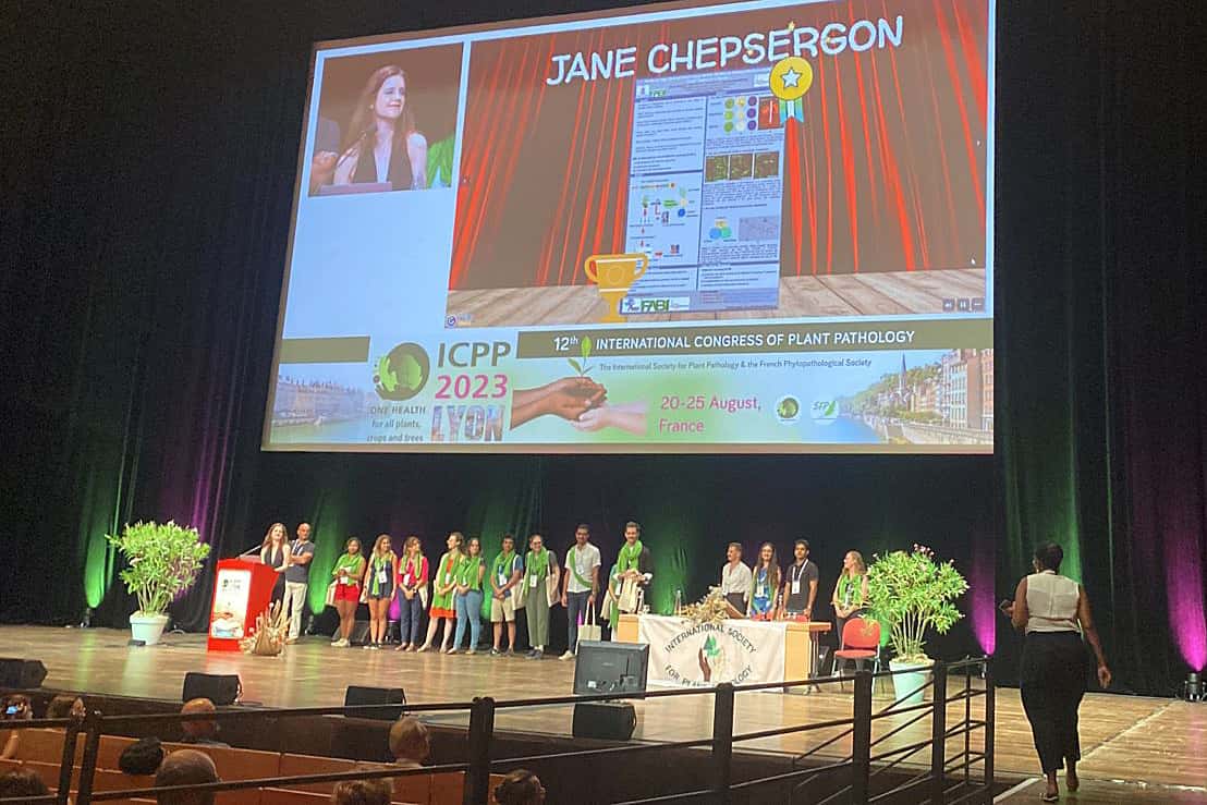 FABI’s tree health focus at the 2023 ICPP in Lyon, France