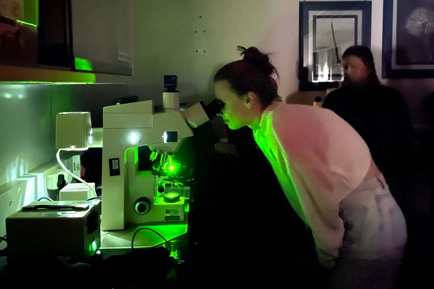 FABI organised the first “Agrobacterium mediated transformation of spore producing fungi” workshop