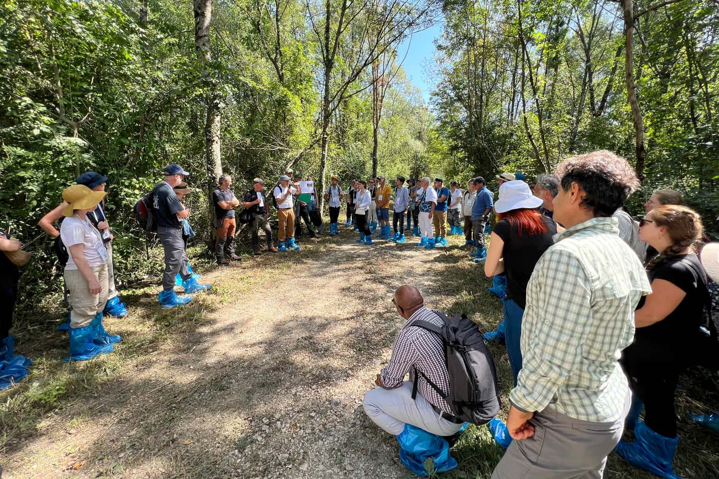 FABI team members participate in an important forest pathology event