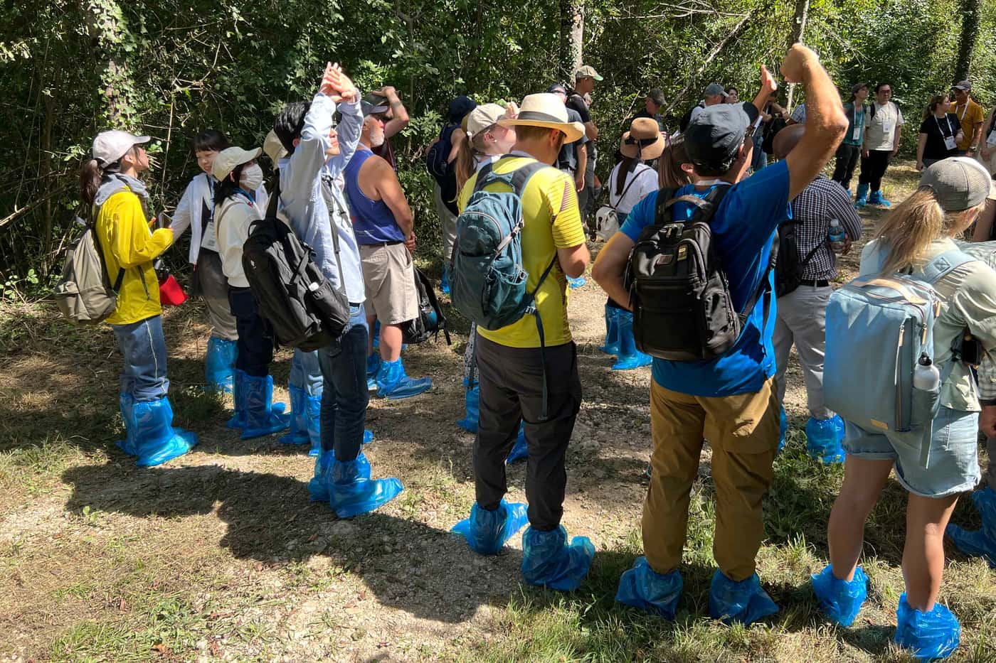 FABI team members participate in an important forest pathology event