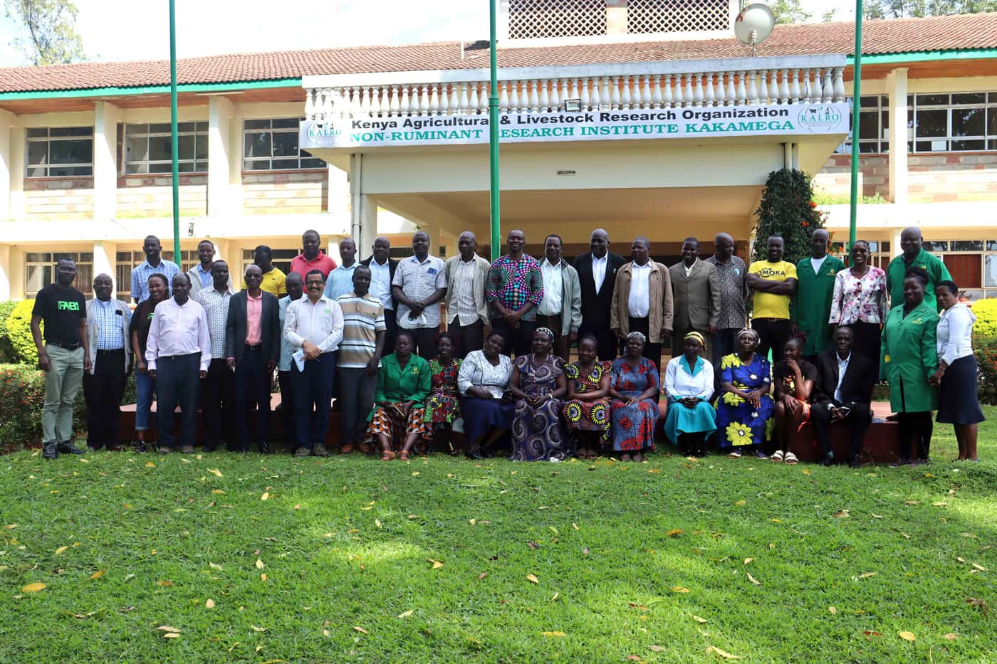 Maize disease outreach extends to Kenya