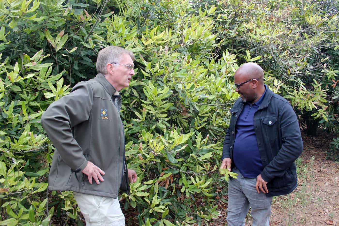 The International Macadamia Symposium and a research visit from Prof. Akinsanmi