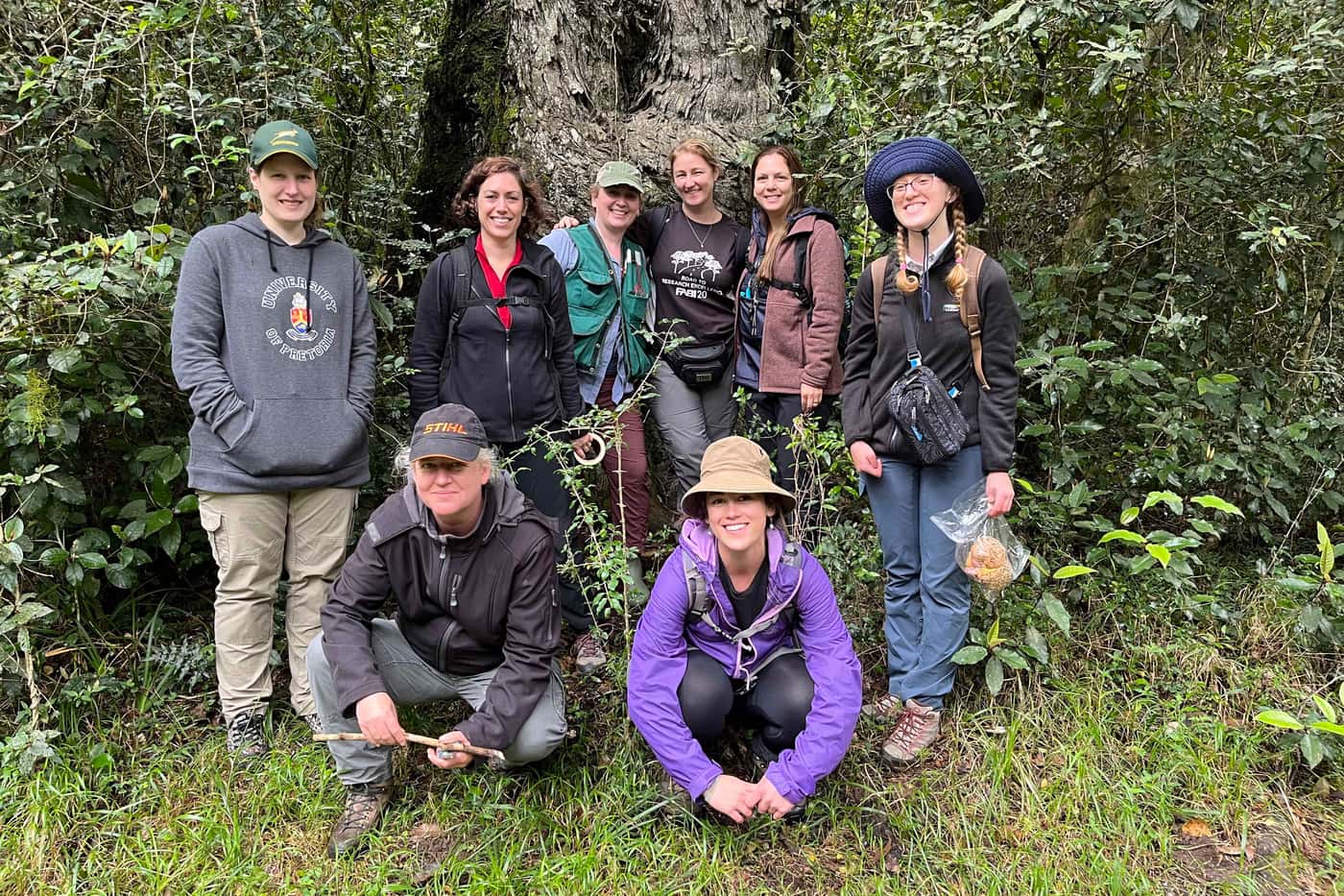 FABIans are joined by RSA and USA colleagues for a final bark beetle microbiome workshop