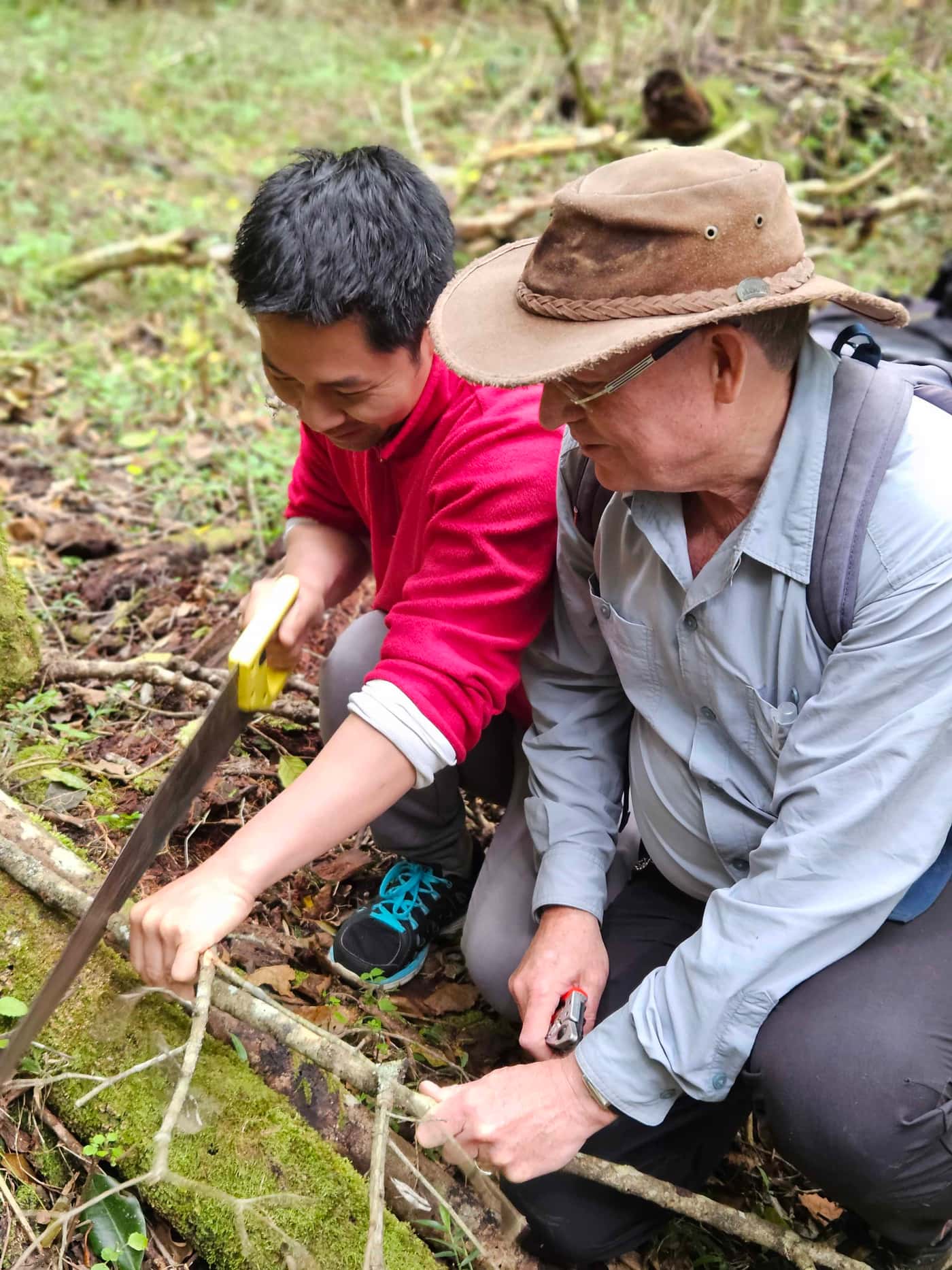 FABIans are joined by RSA and USA colleagues for a final bark beetle microbiome workshop