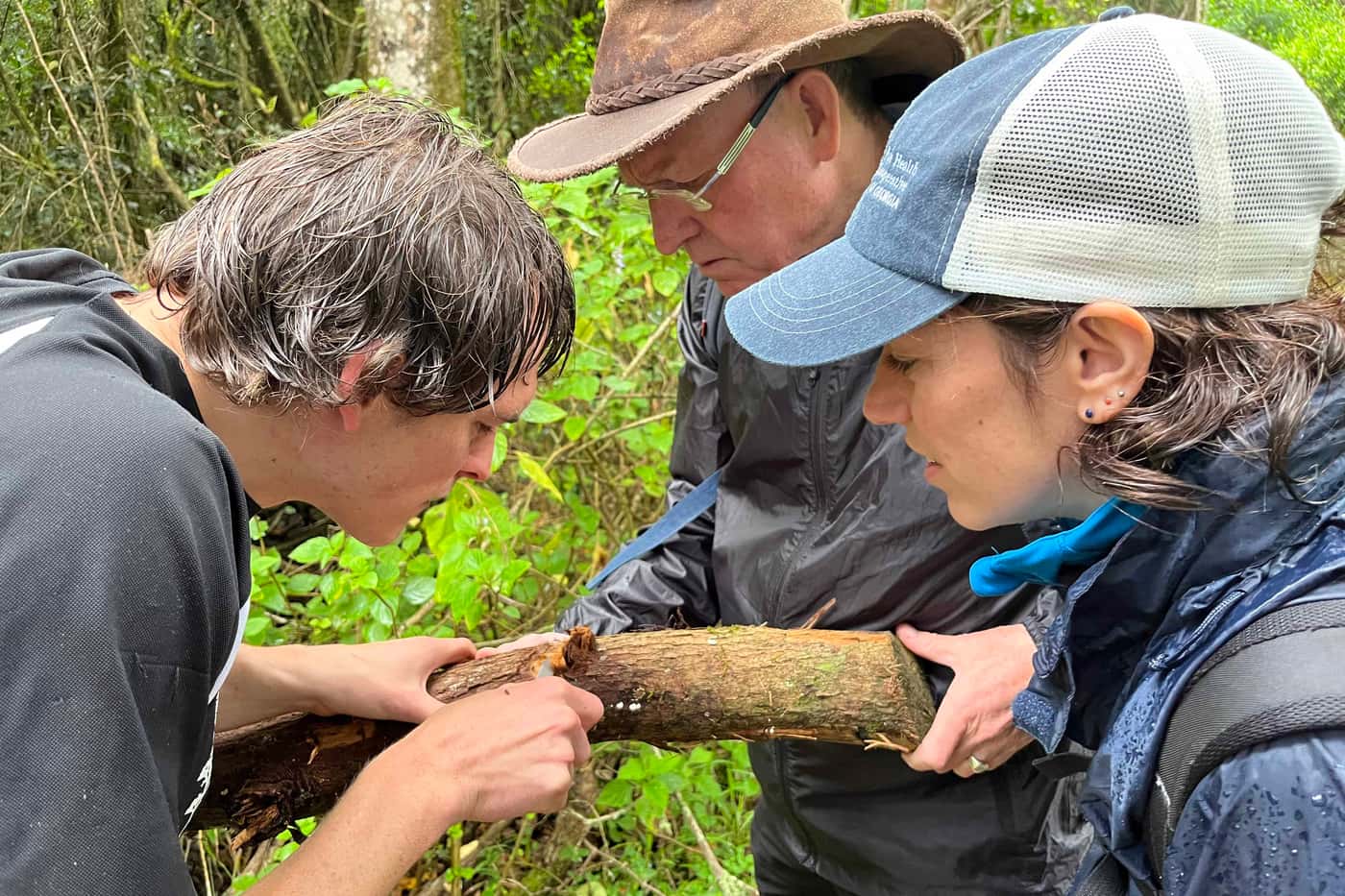 FABIans are joined by RSA and USA colleagues for a final bark beetle microbiome workshop