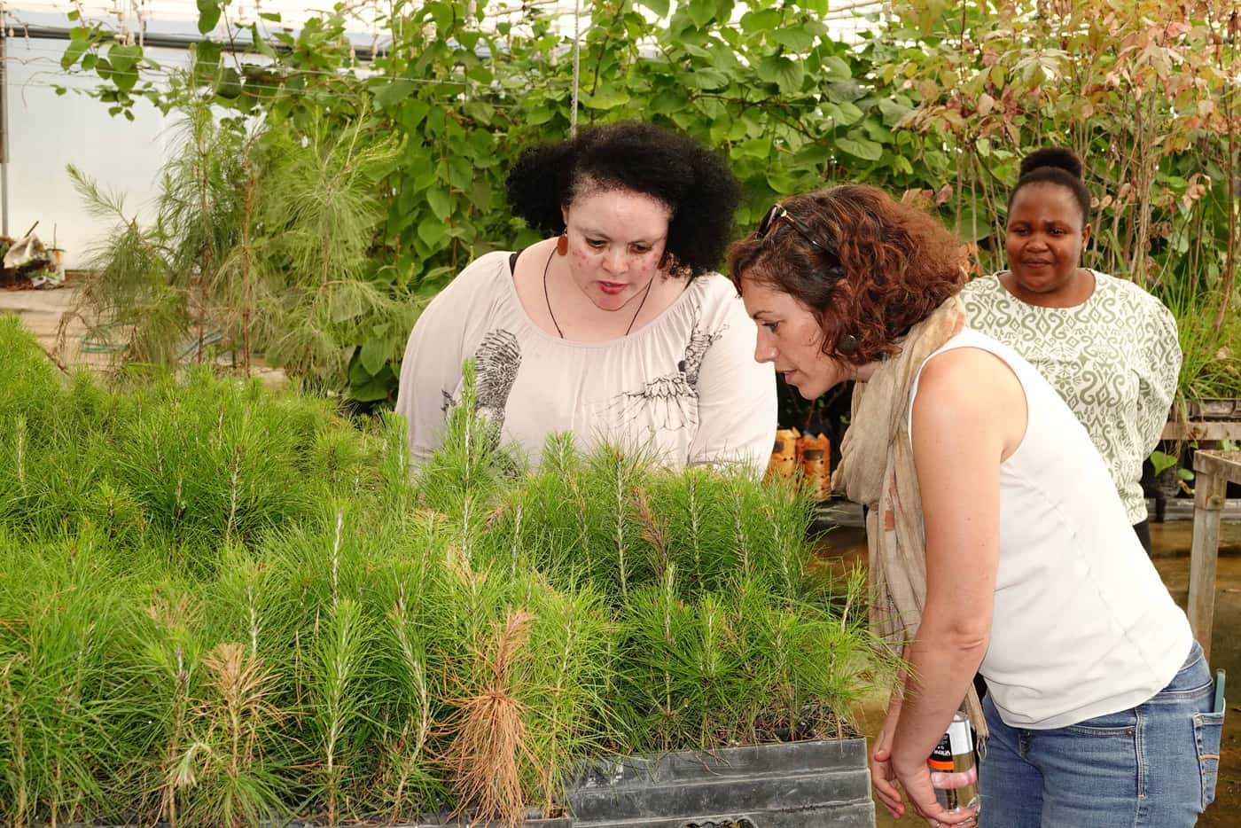 Prof. Caterina Villari visits FABI