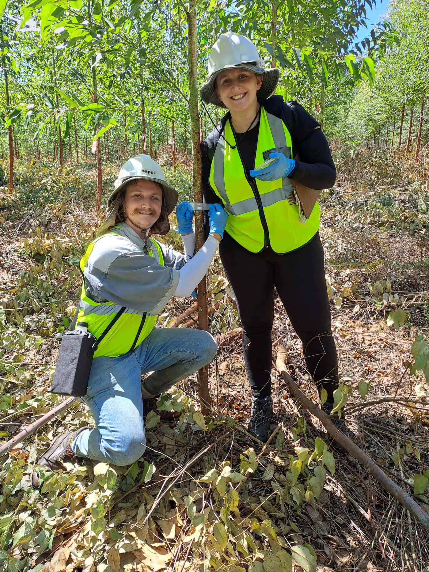 EPPI team undertakes the second large-scale field inoculation trial in 2023