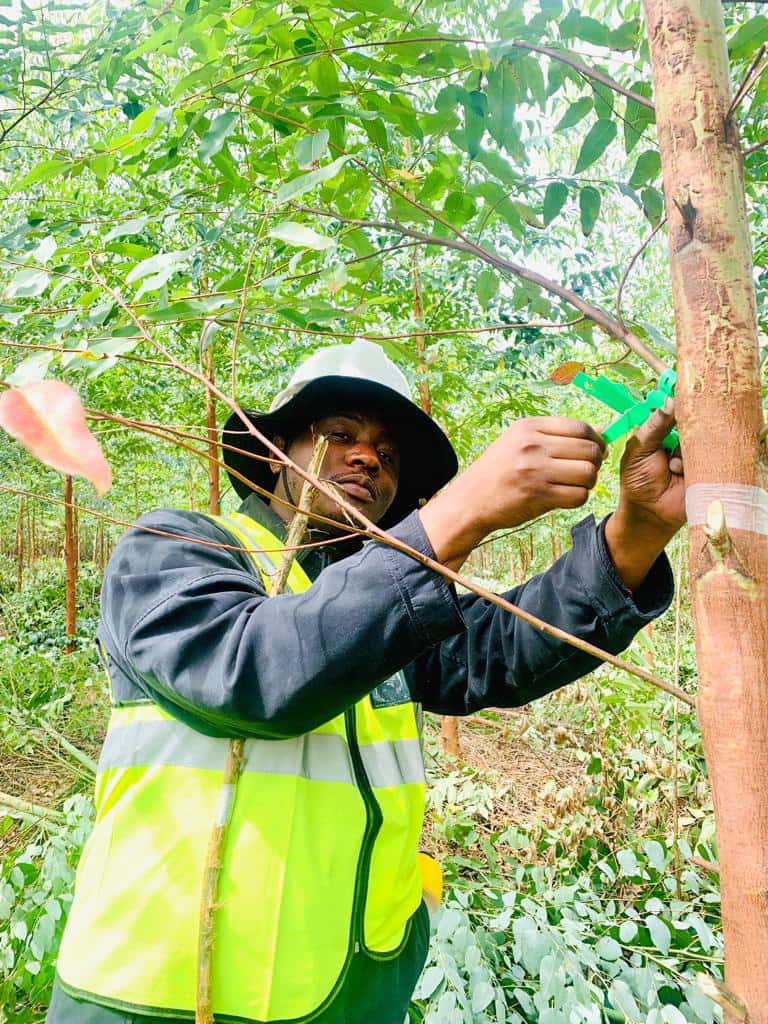 EPPI team undertakes the second large-scale field inoculation trial in 2023