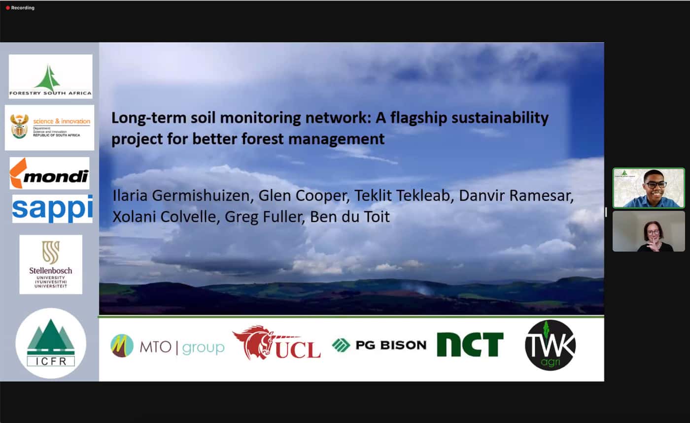 FSA webinar celebrates the International Day of Forests