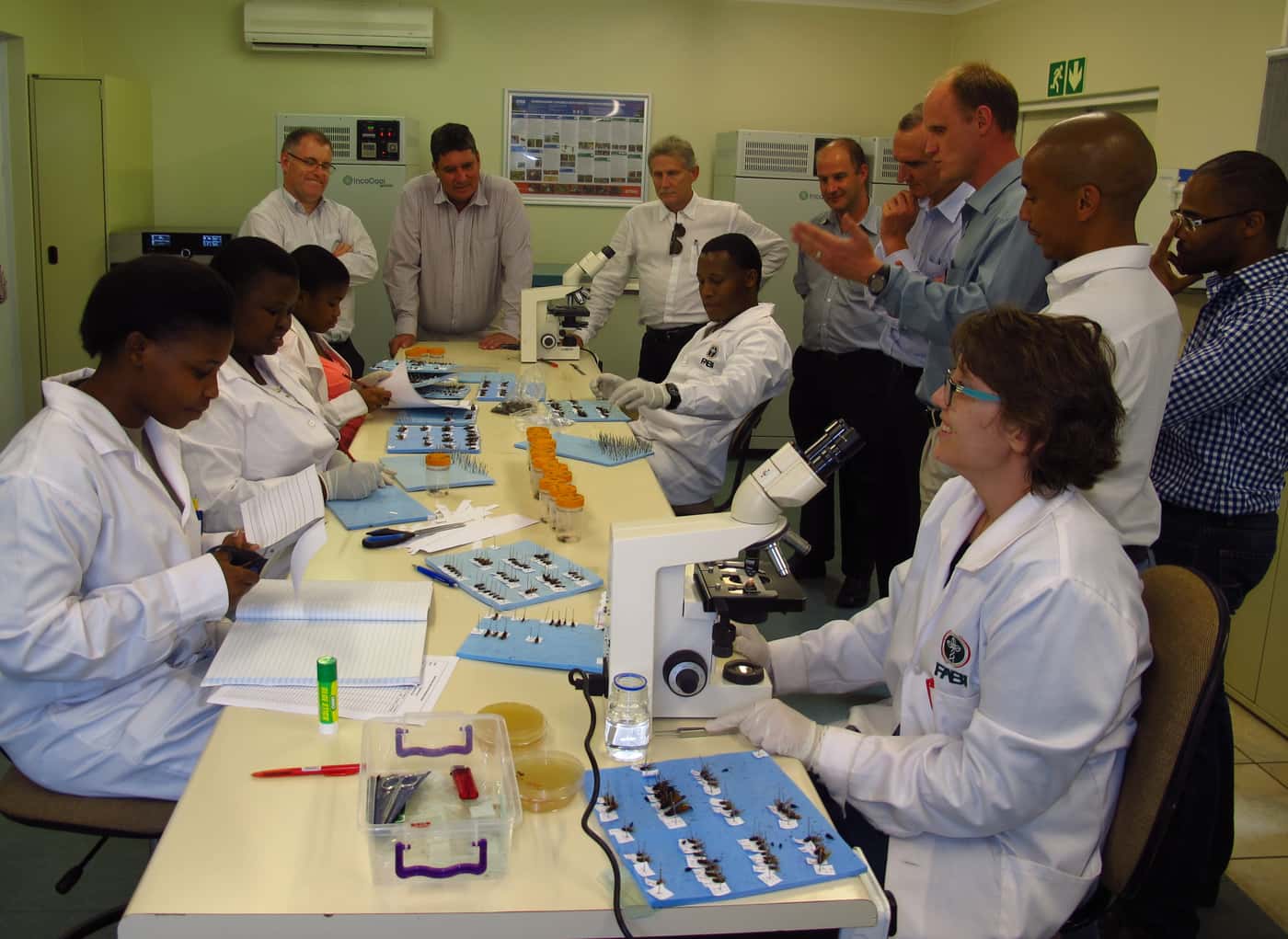 Sappi Executives visit FABI
