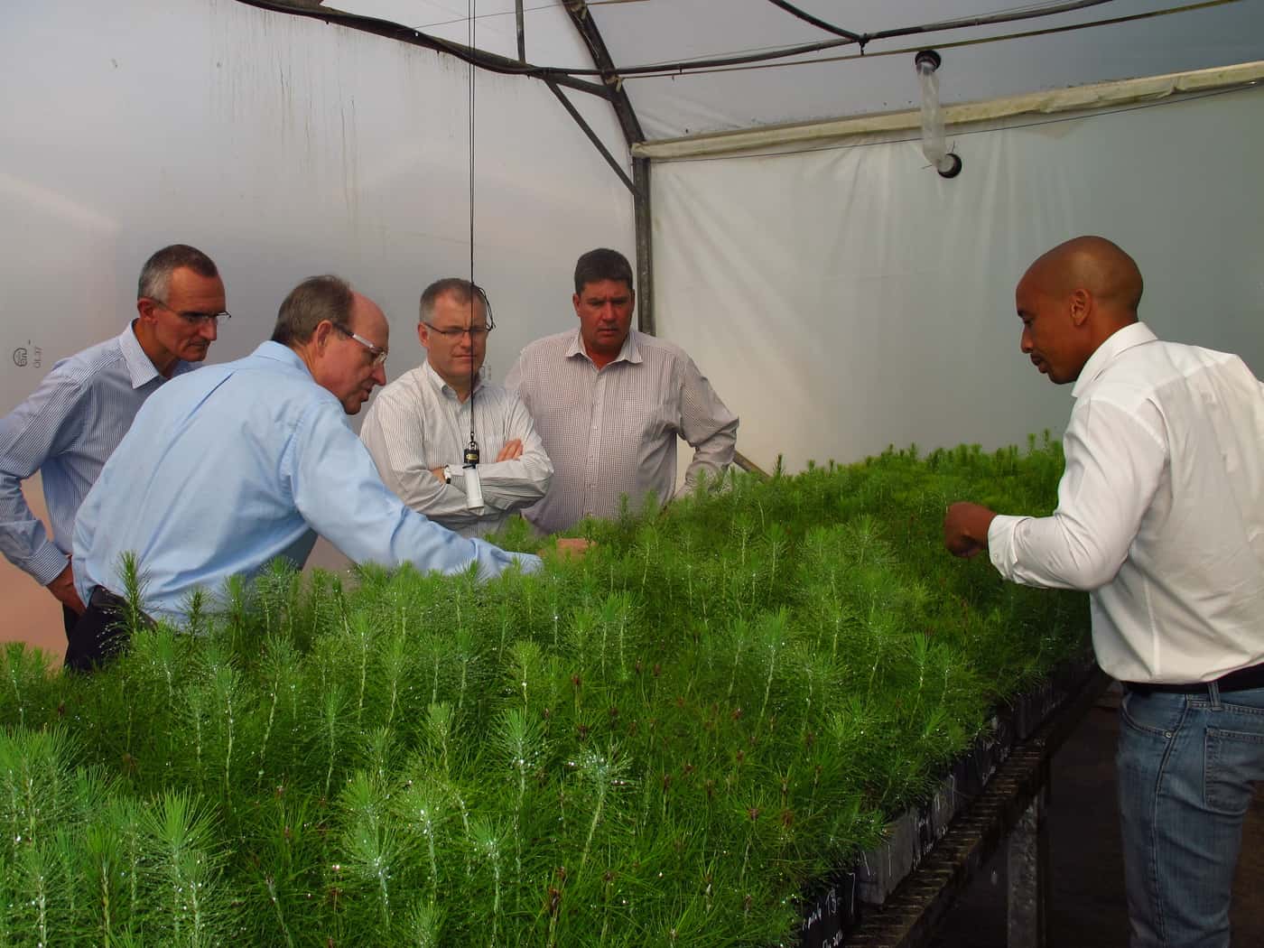 Sappi Executives visit FABI