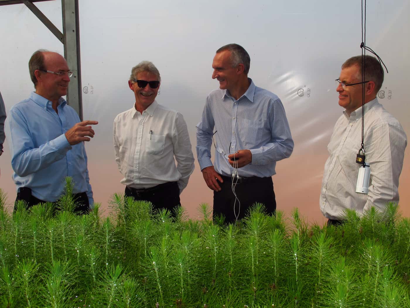 Sappi Executives visit FABI