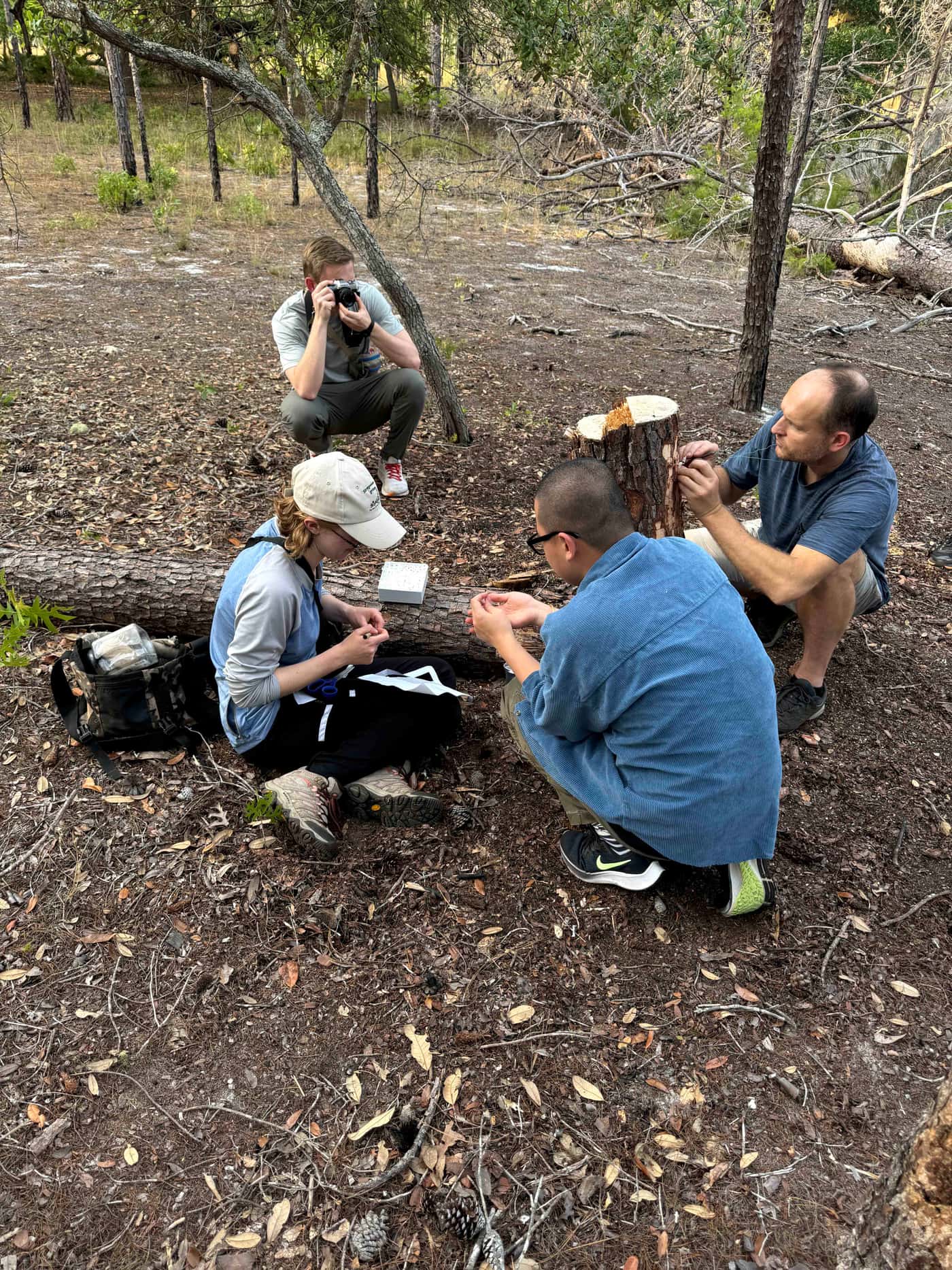 A final beetle-fungus collecting trip in Florida