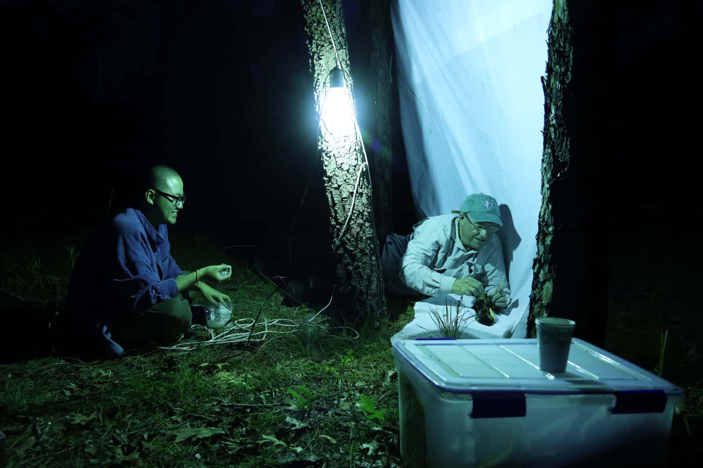 A final beetle-fungus collecting trip in Florida