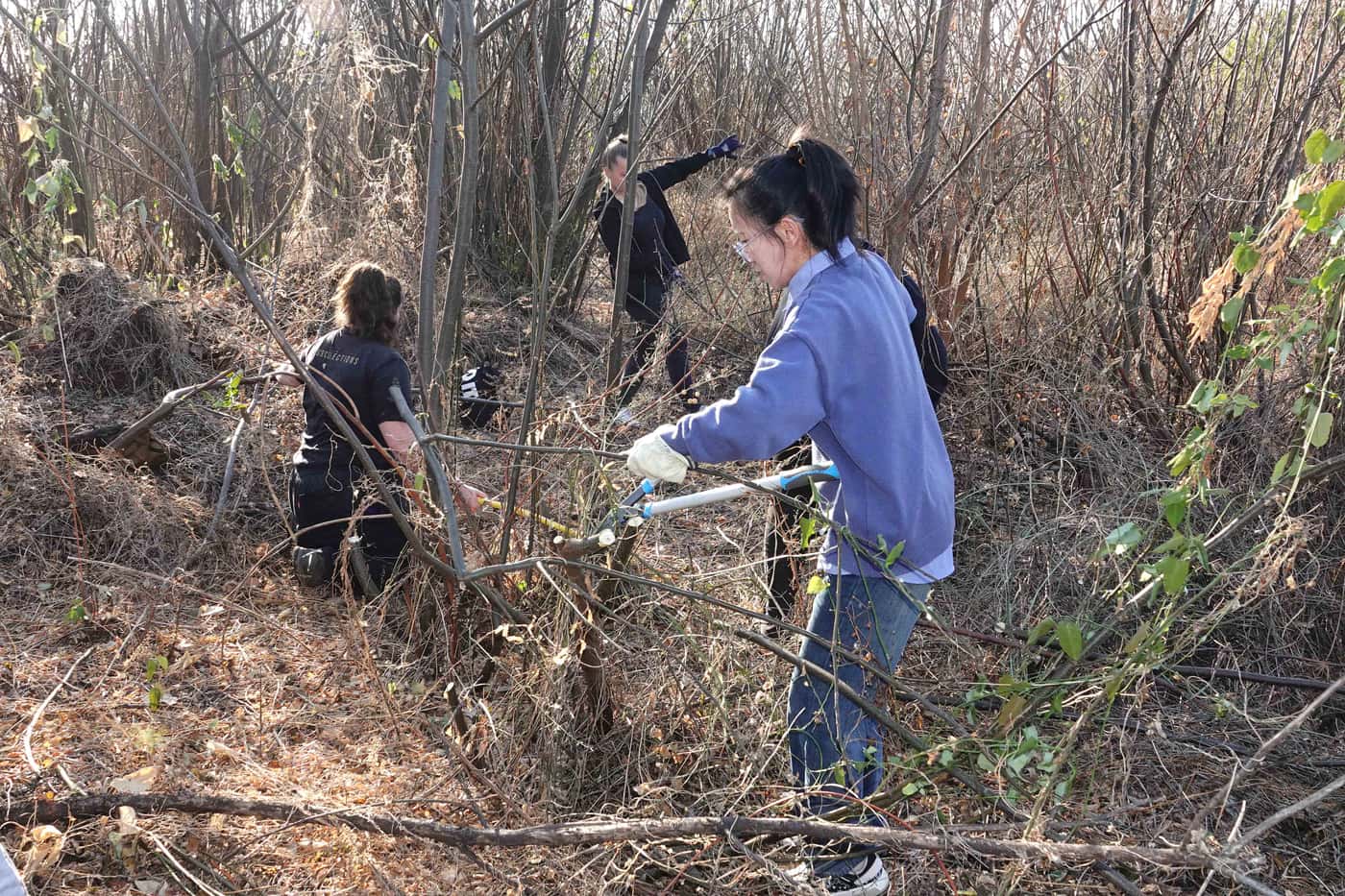 FABIans pitch in to clear invasive woody plants on Mandela Day