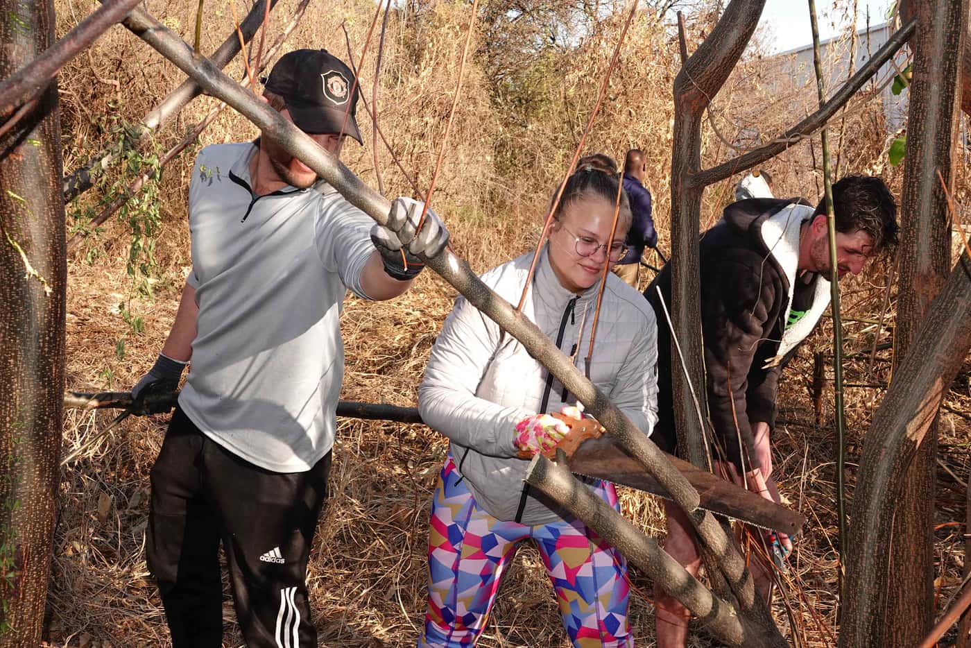 FABIans pitch in to clear invasive woody plants on Mandela Day