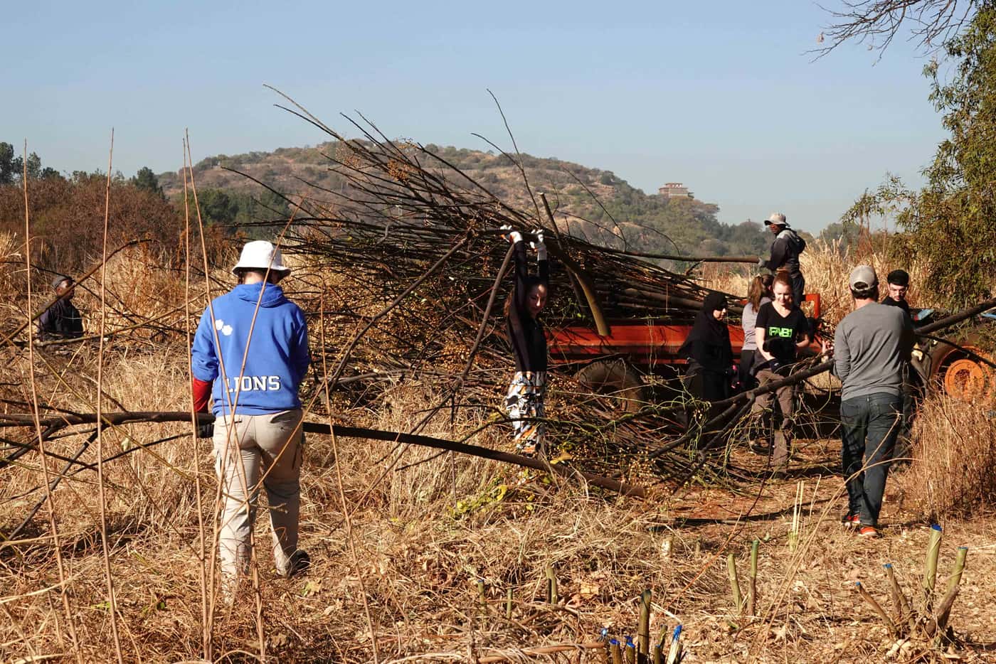 FABIans pitch in to clear invasive woody plants on Mandela Day