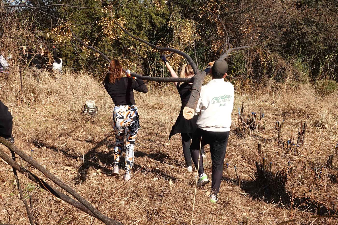 FABIans pitch in to clear invasive woody plants on Mandela Day