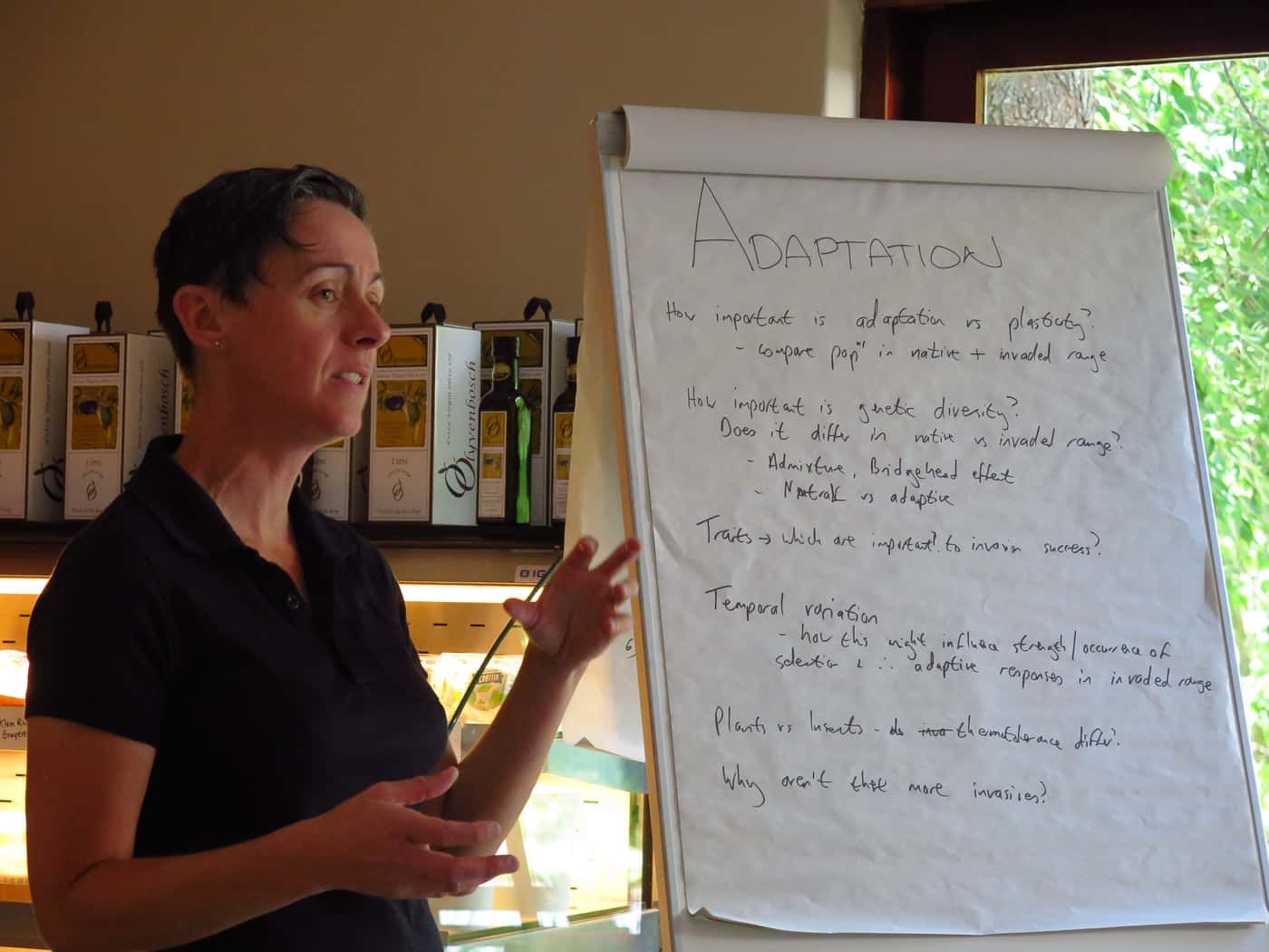 A Focus on Insect Invasions