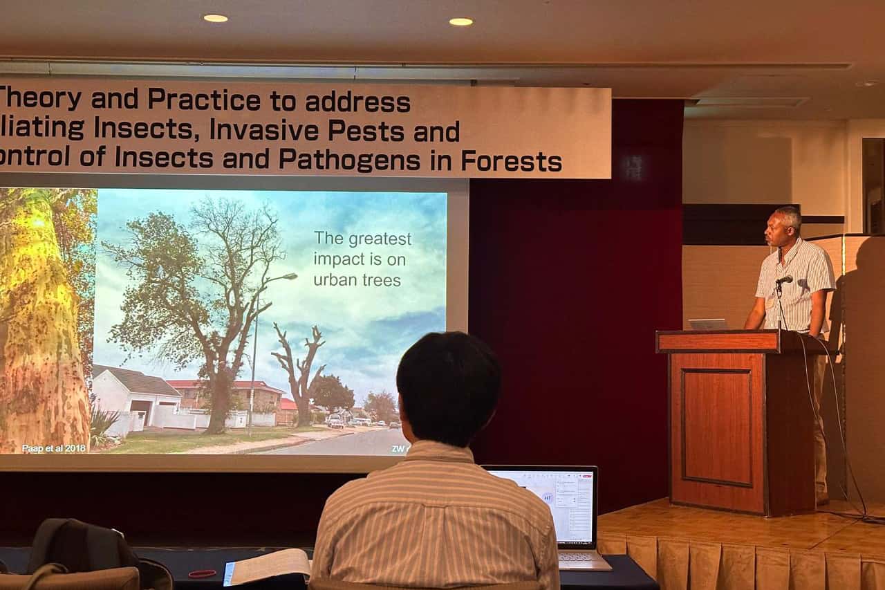 FABIans participate at IUFRO Division 7 Meeting in Japan