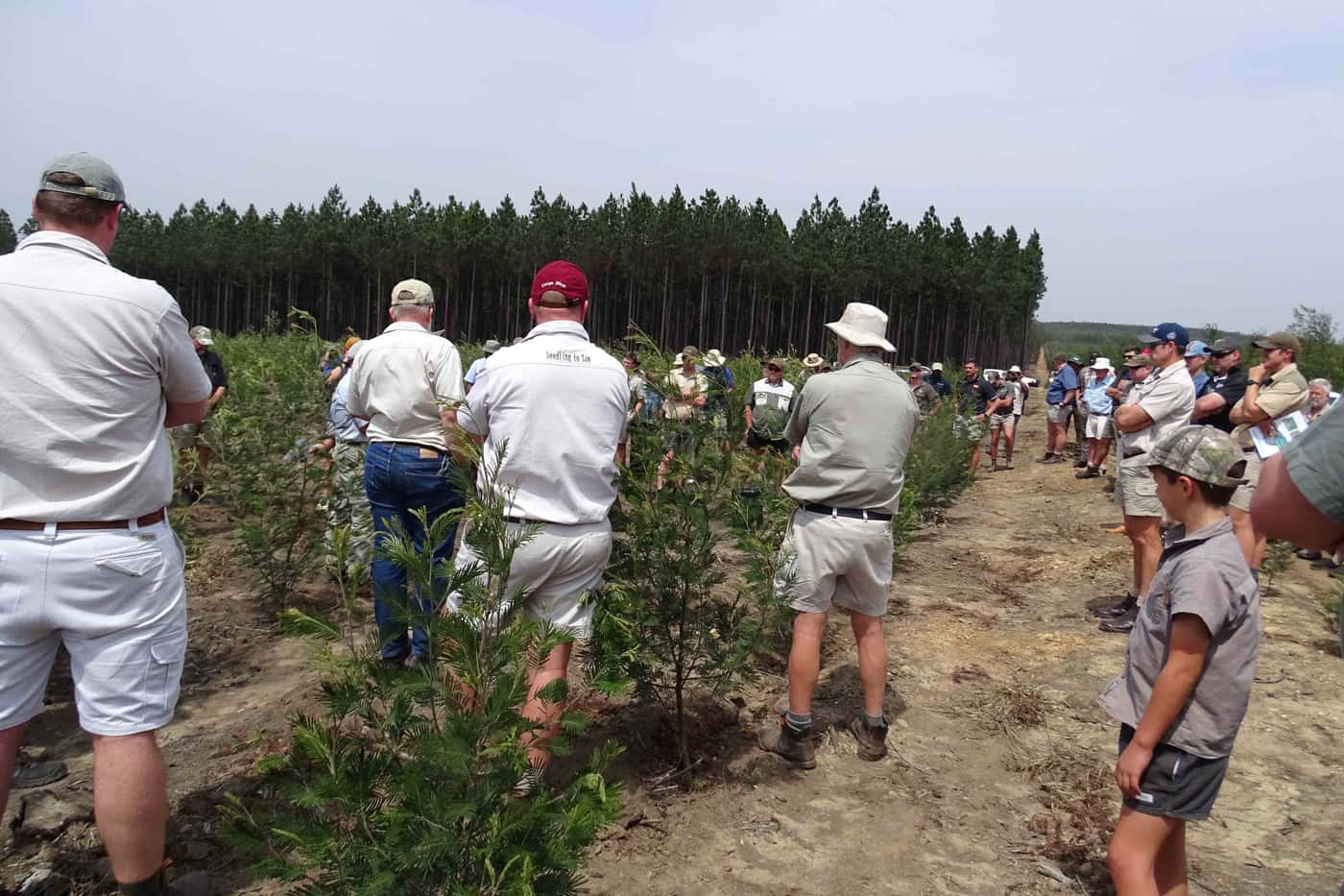 TPCP participates in Wattle Field Days