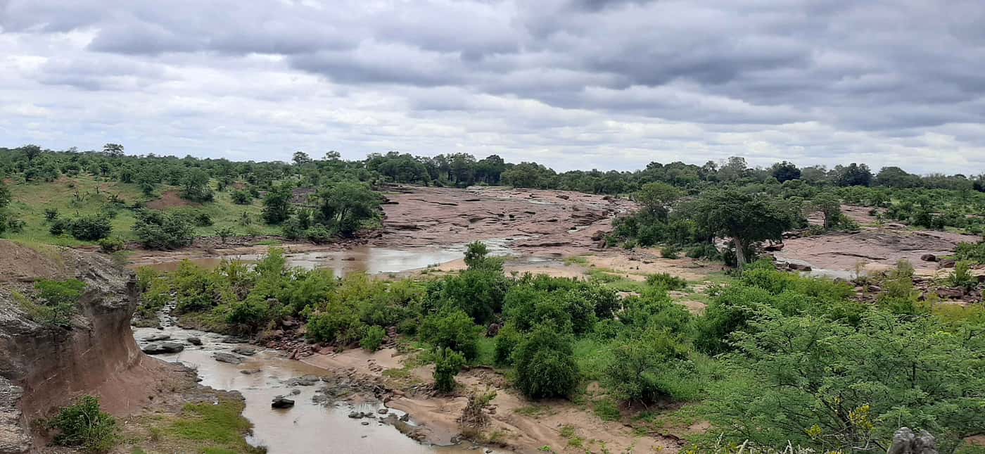 SASSY kicks off 2025 sampling in the Kruger National Park
