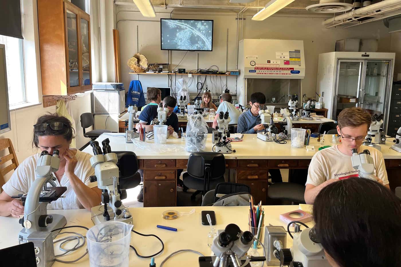 FABI at the 93<sup>rd </sup> Annual Meeting of the Mycological Society of America (MSA)