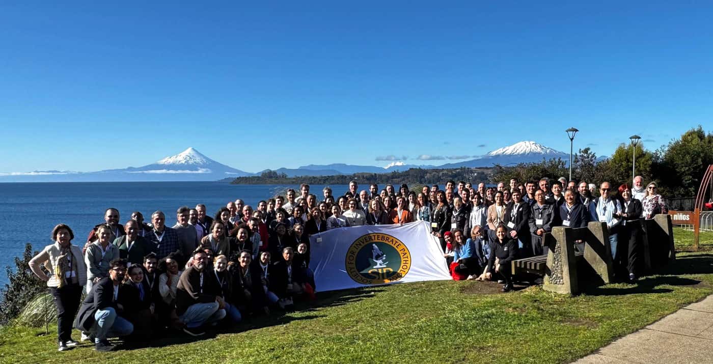 FABIan attends Invertebrate Pathology meeting in Chile