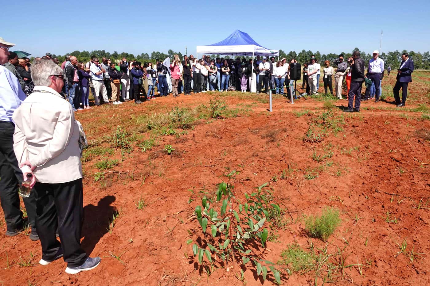 The FABI INSPIRE Open Air Laboratory officially opened