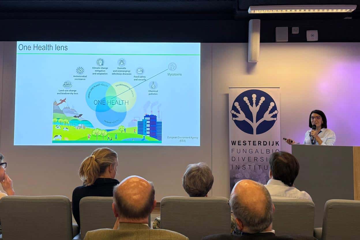 FABI researchers contribute to One Health discussions at the Westerdijk Spring Symposium