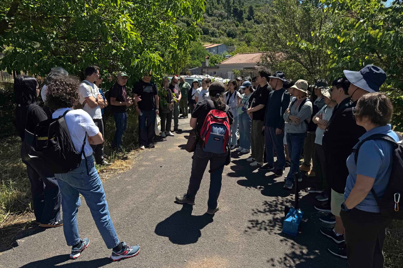 FABI researchers participate in the IUFRO Tree Wilt Disease Congress in Athens
