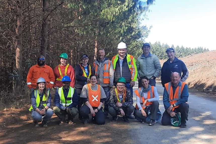 Fungi associated with South African pine-infesting bark beetles: The search continues