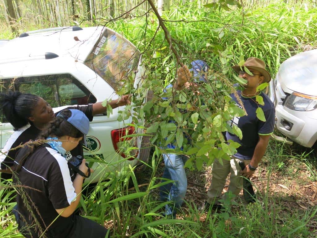 TPCP/CTHB Diagnostic Clinic heads to Limpopo and Mpumalanga for a week of in-field training