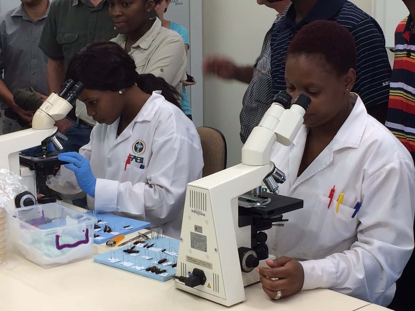 Sappi foresters visit FABI