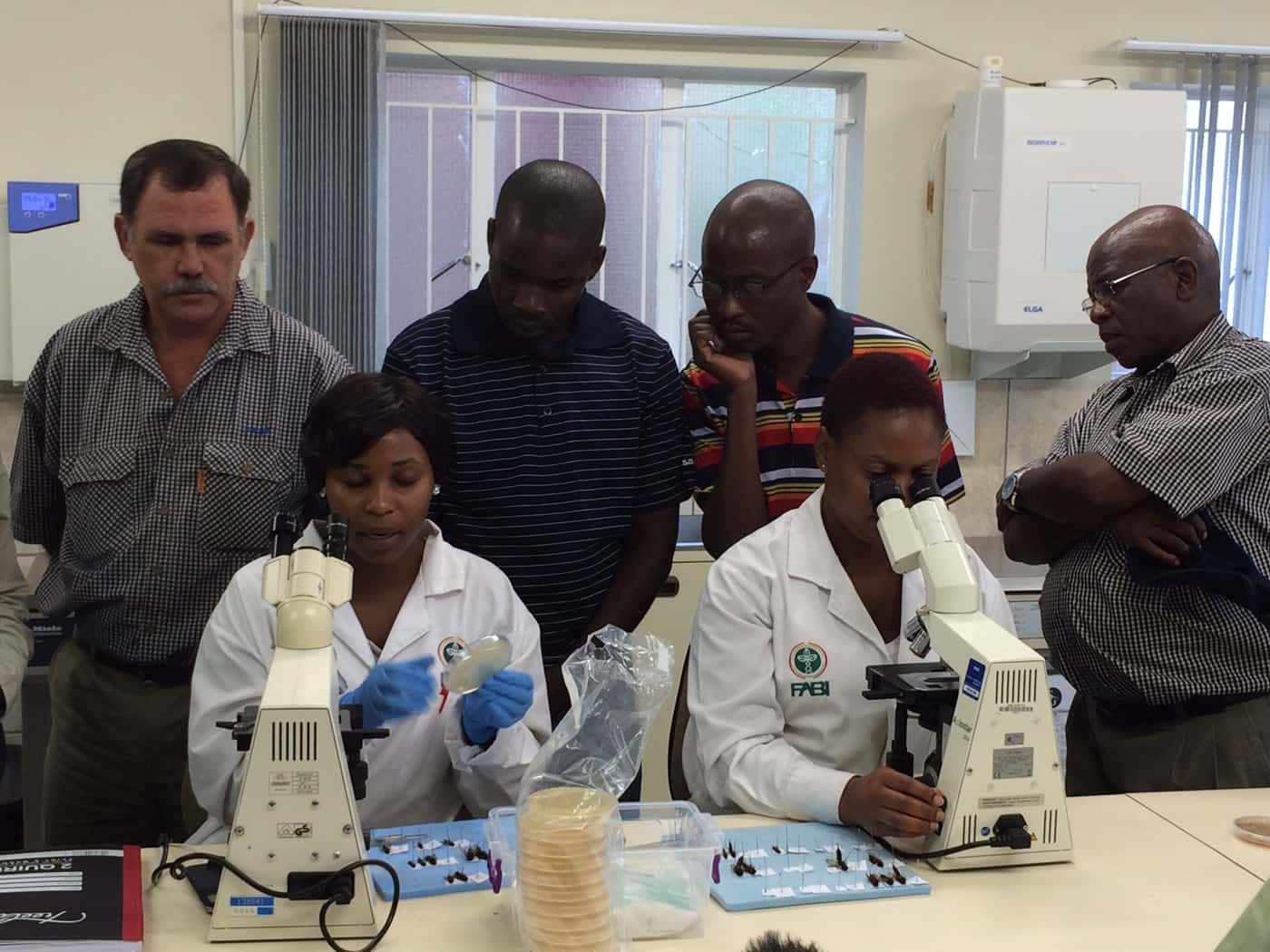 Sappi foresters visit FABI