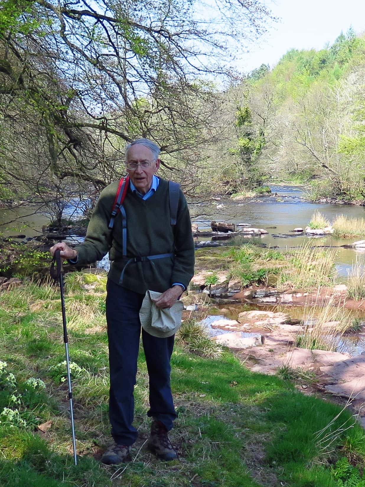 FABI director speaks on global tree health