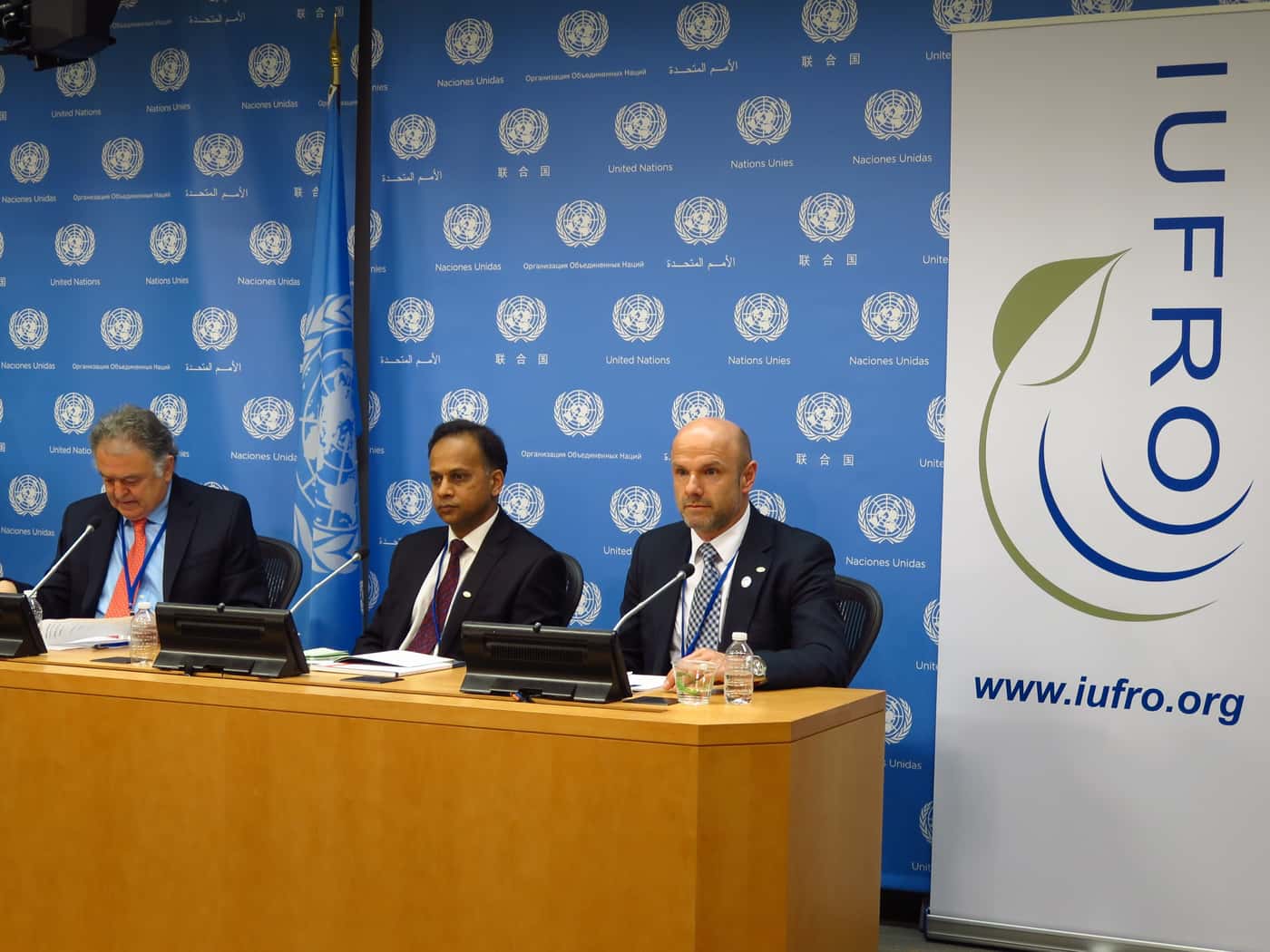 FABI director attends UNFF11 in New York
